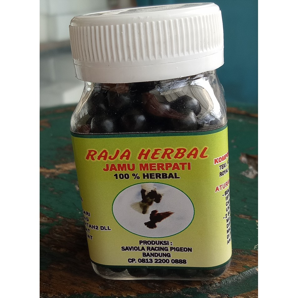 Raja Herbal jamu merpati - ju1299