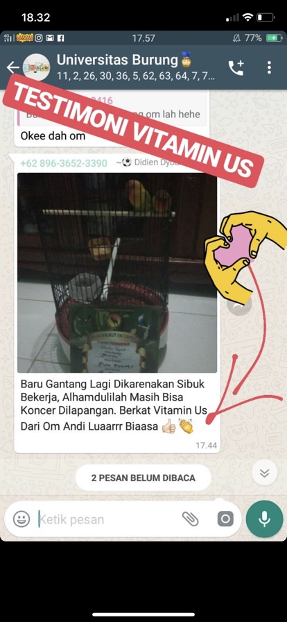 Vitamin US original obat vitamin burung kicau lovebird murai kacer cucak ijo cendet