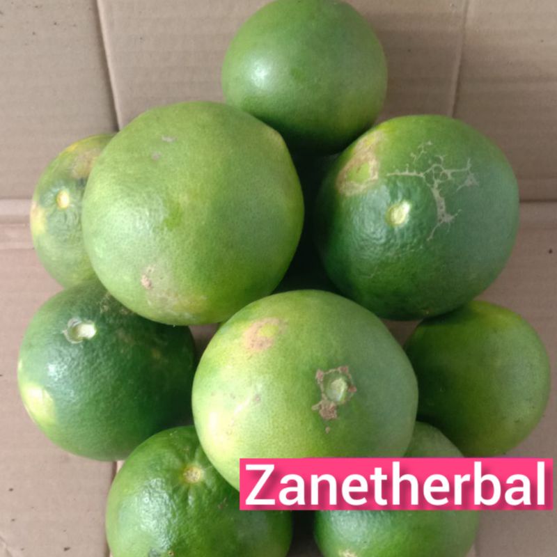 

Jeruk bandung super manis per 1kg