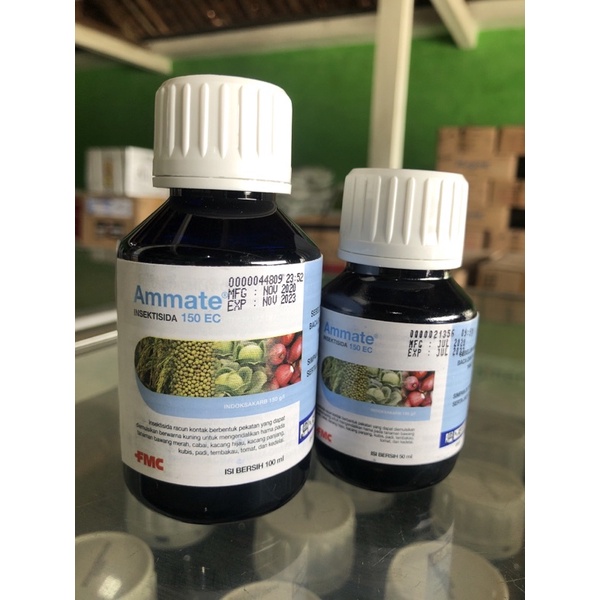 AMMATE INSEKTISIDA