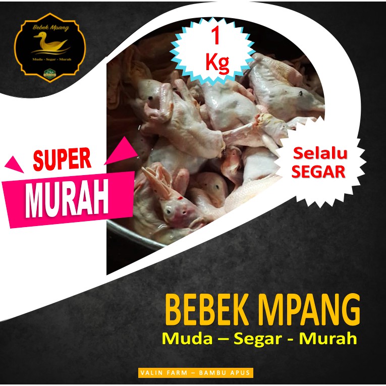 

Daging bebek hibrida 1 Kg segar murah dan halal