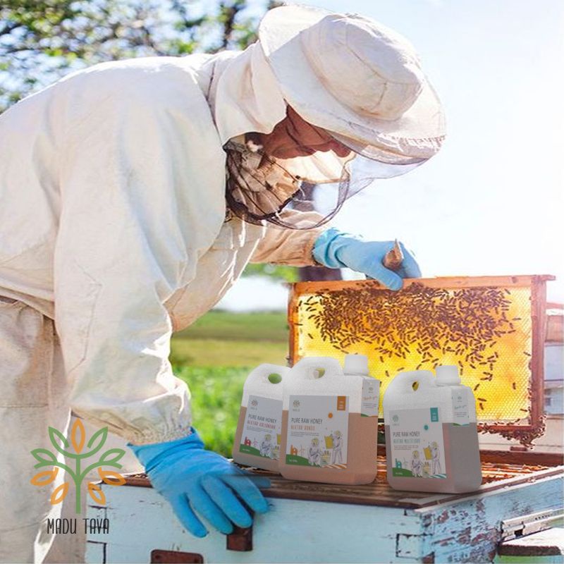 Madu Murni Asli Tava Grade A Variant Nektar kaliandra 100% Alami Pure Natural Raw Honey READY COD MAKASSAR