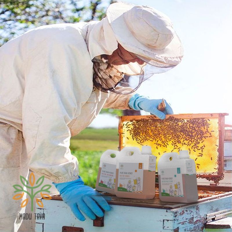 

Madu Asli 100%Tava Nektar Akasia Sumatra 1kg Raw Honey