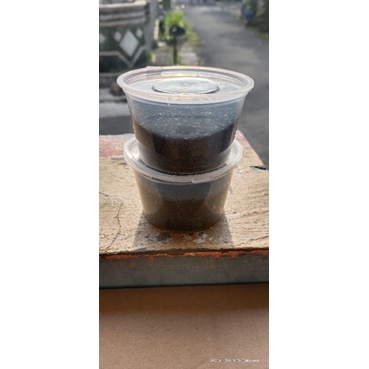 

Selasih 50 Gram dan 250 gram