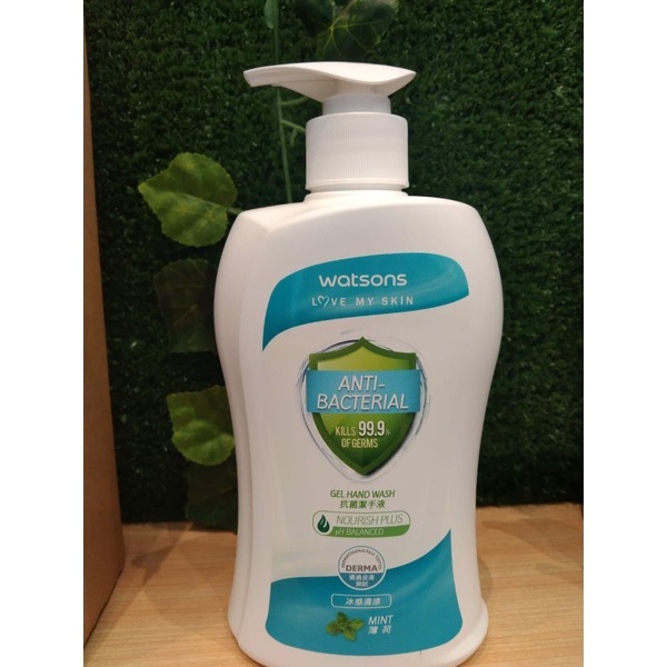 hand wash watson  mint 500ml
