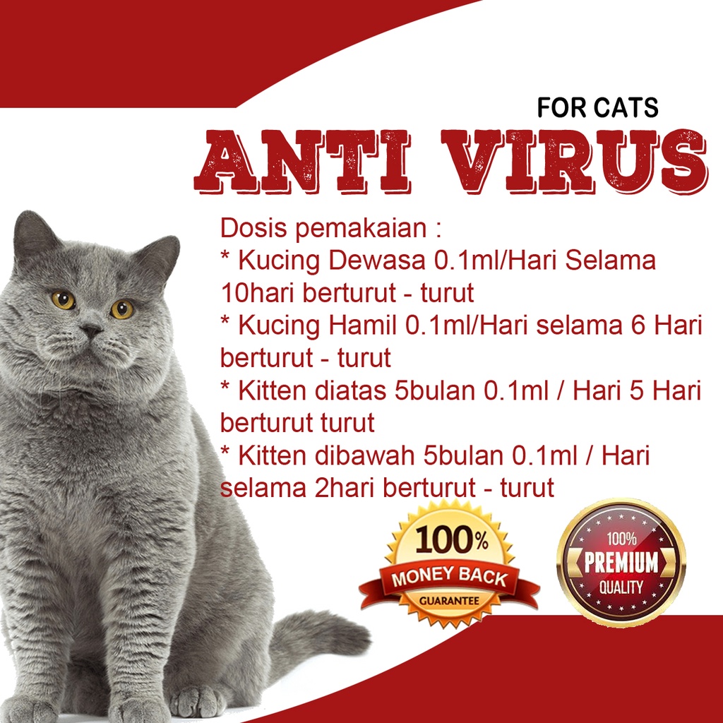 [REKOMENDASI] OBAT ANTI VIRUS FPV Feline Panleukopenia VCV PADA KUCING AMPUH