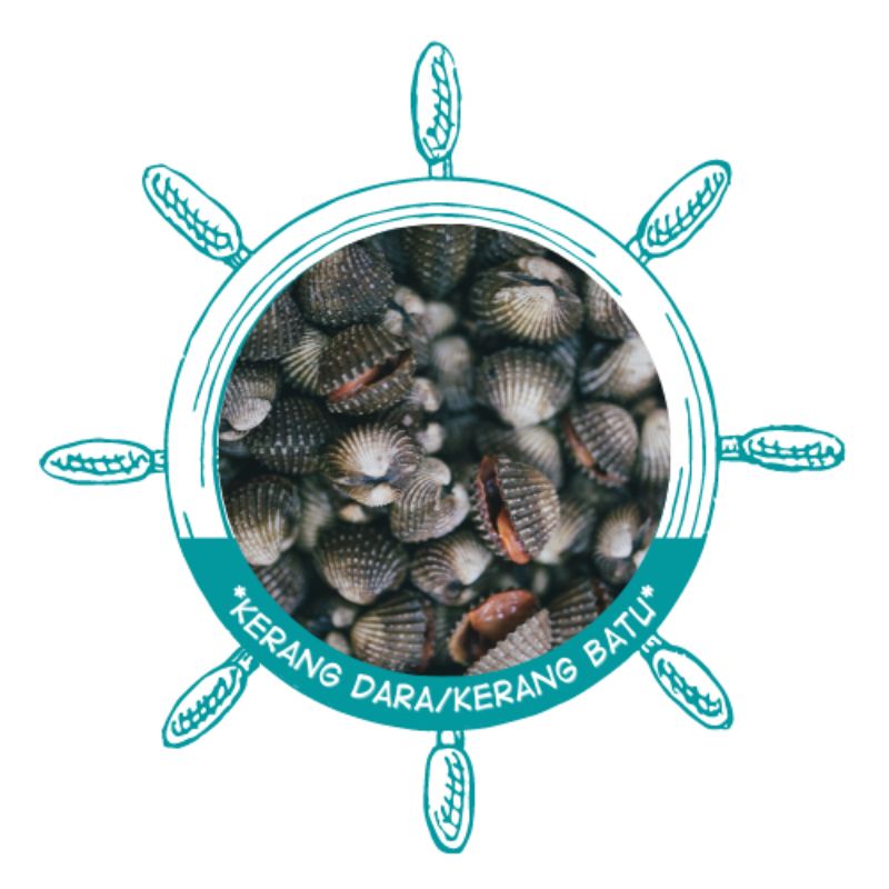 

Kerang batu | kerang dara | kerang rebus | kerang surabaya | kerang hidup