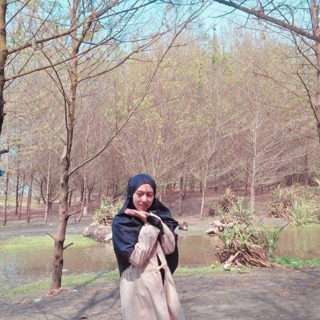 sinaallhanieef579