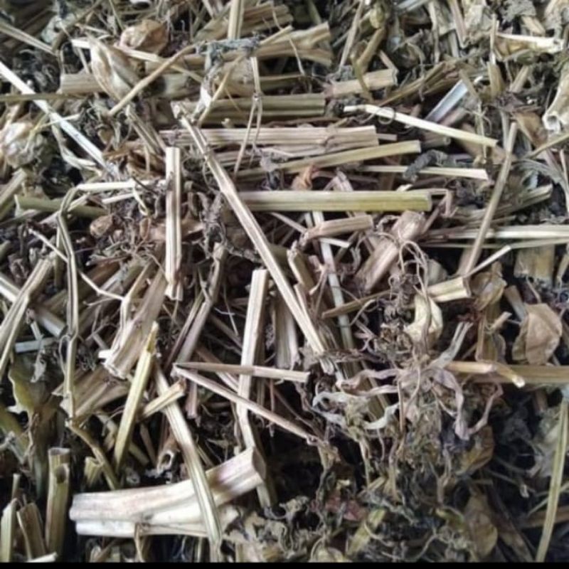 

Daun Ciplukan/Daun Cecendet Kering 500 gr