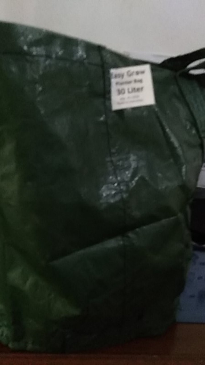 Planter Bag Ukuran 30 Liter (diameter 34cm Tinggi 33cm)