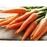 

WORTEL SEGAR DAN MANIS