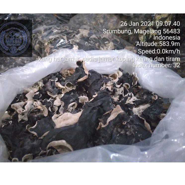 

Stk mᗴlίmpah Jamur kuping murah dan super hitam 1 kg bisa bayar di tempat/COD lho pakai j&t|si4p.K1