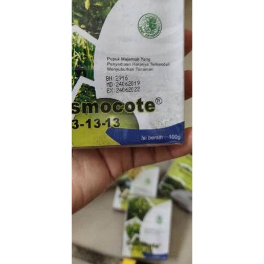 Termurah (fir-491) Pupuk DEKASTAR daun 100g (13- 13 - 13) cocok untuk aglonema anakan