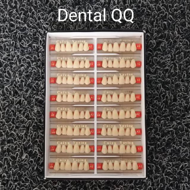 Gigi palsu Caiyu Yuying anterior upper & lower // gigi depan atas & bawah