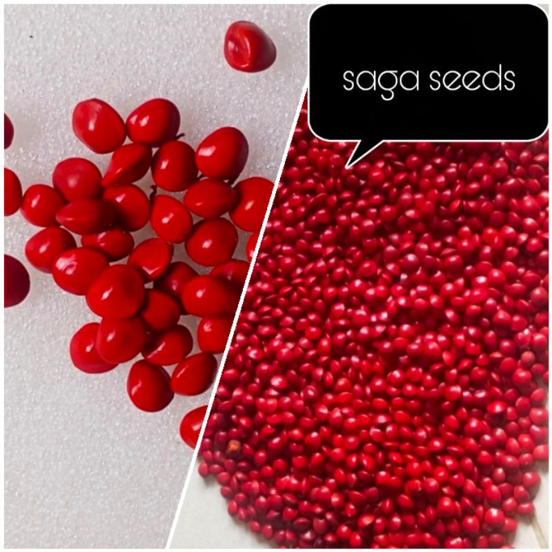 

50biji saga xiang si dou love red seeds-craft