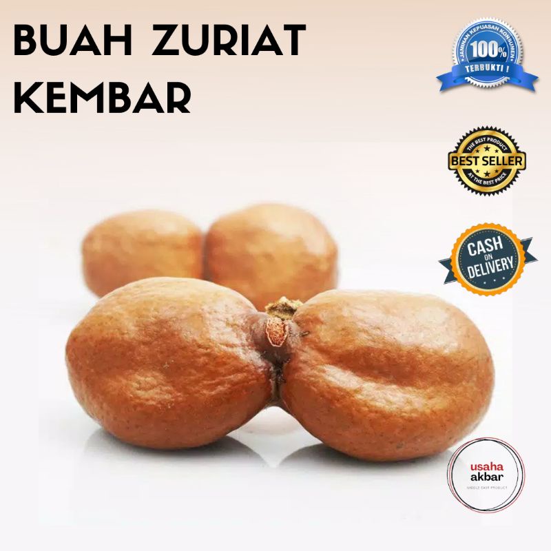 

Buah Zuriat Kembar Original Mesir Sepasang Promil Suami Istri (1pcs)