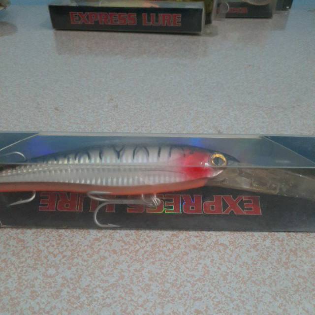 Minnow Express