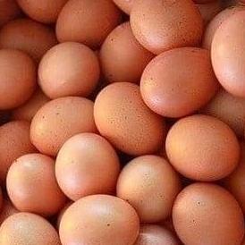 

Telor ayam ---Termurah---