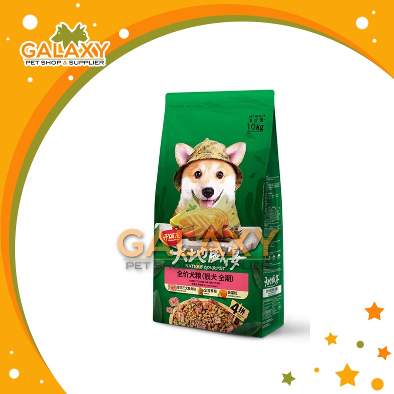 KITCHEN FLAVOR SALMON COMPLETE BEAUTY DOG 10kg