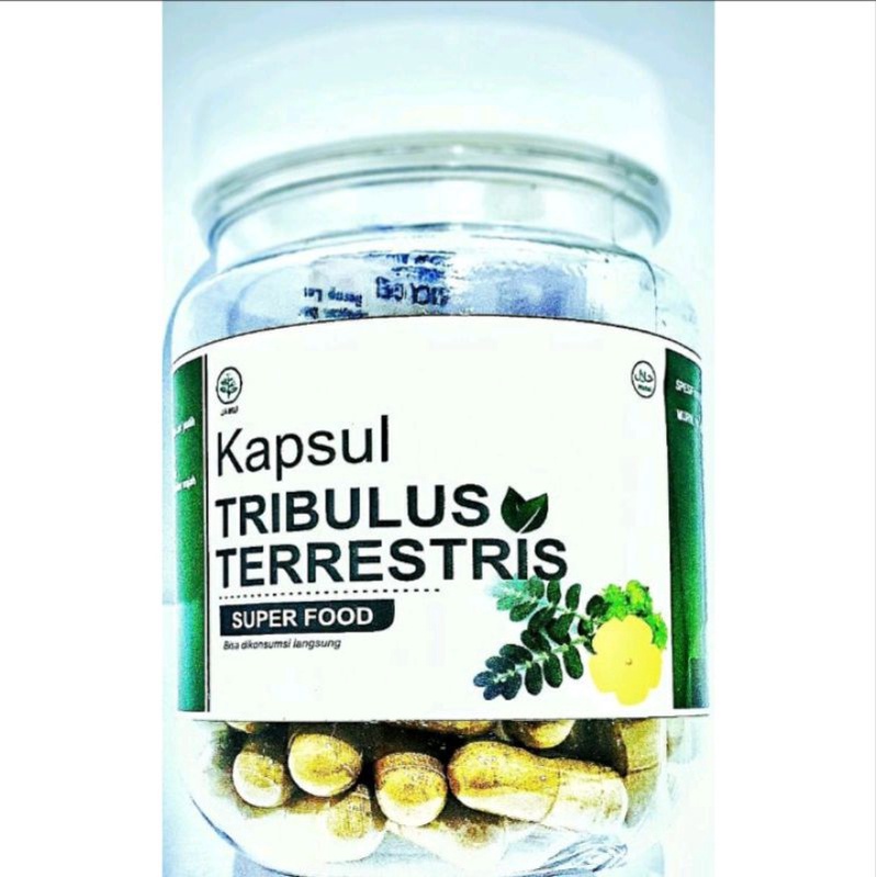 KAPSUL TRIBULUS OBAT JAMU HERBAL TESTOTERON