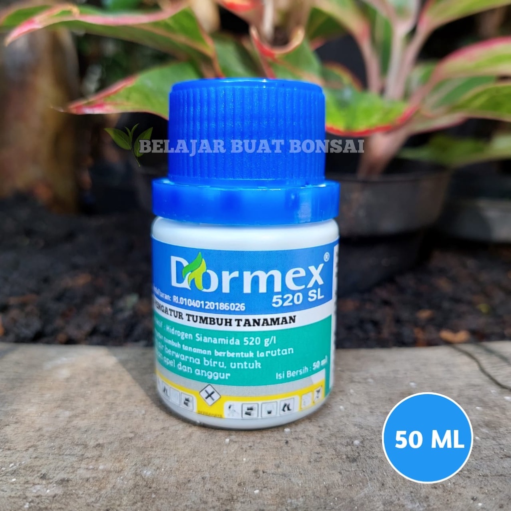 Dormex 520SL Hidrogen Sianamida ZPT Apel Anggur Germany