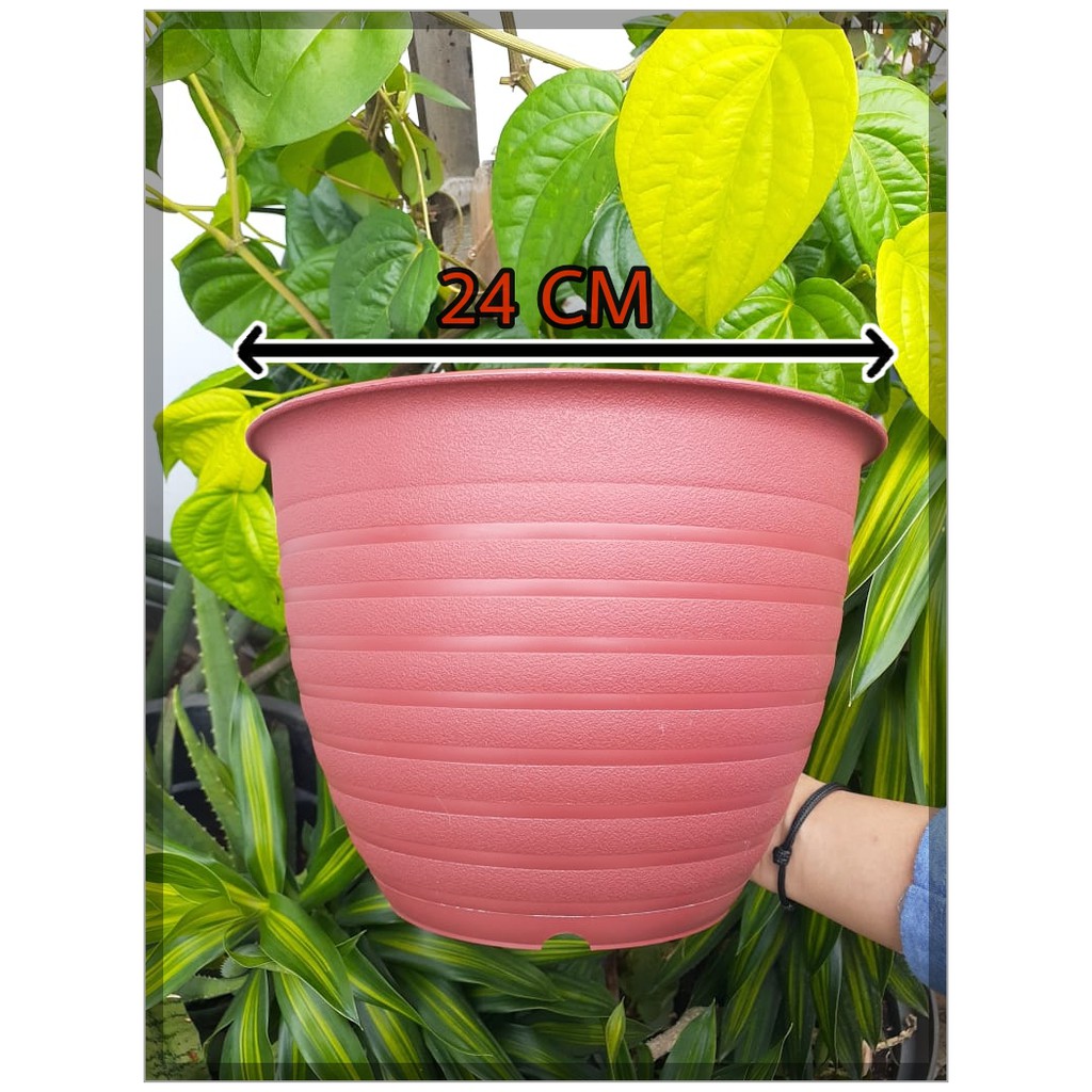 Pot Super Tawon 24 Cm Merah Bata Garden Of Love Pot Plastik 24CM Bkn Pot Tawon Pirus Tinggi Putih