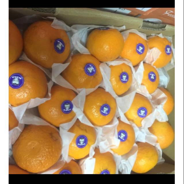

Jeruk wokam 1kg