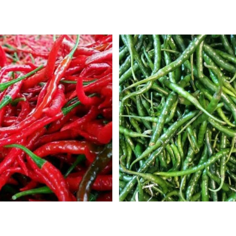 

cabai merah dan cabai hijau