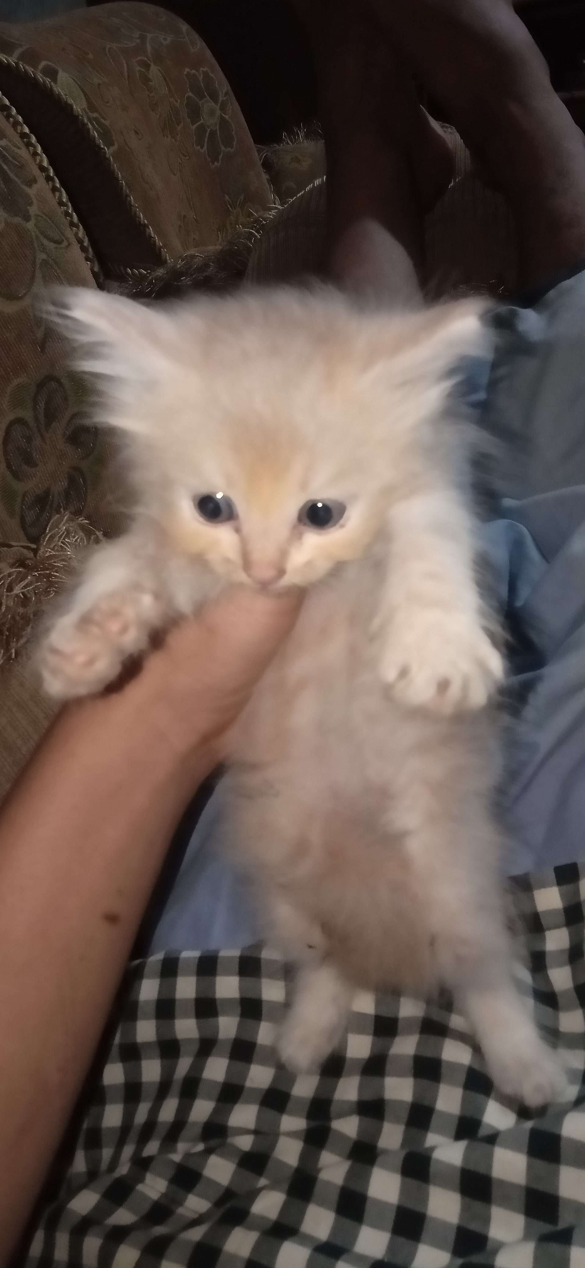 Korek Selamanya Flint Fire Steel Starter Camping