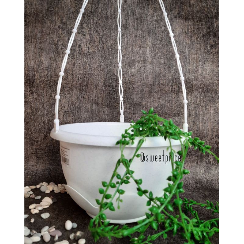 Pot gantung Lion Star Clover Flower Pot #6 +Tatakan -Putih