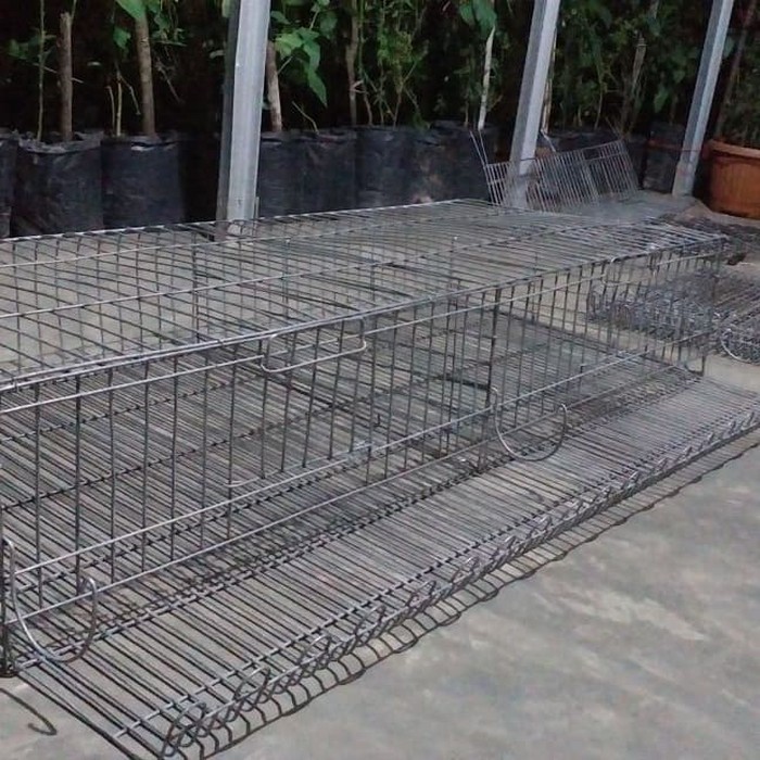 Kandang puyuh dari kawat galvanis