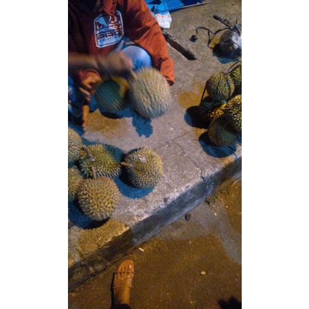 

durian