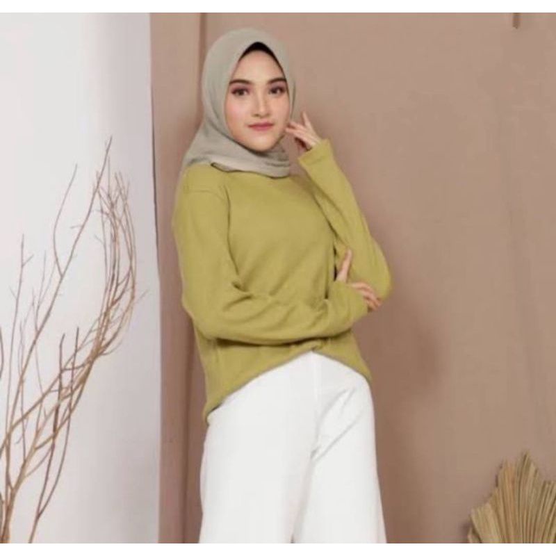 Atasan Lengan Panjang Kaos Rib Knit Premium