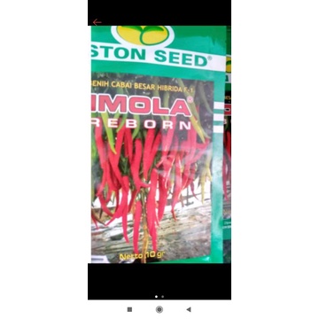 benih cabe besar imola reborn
