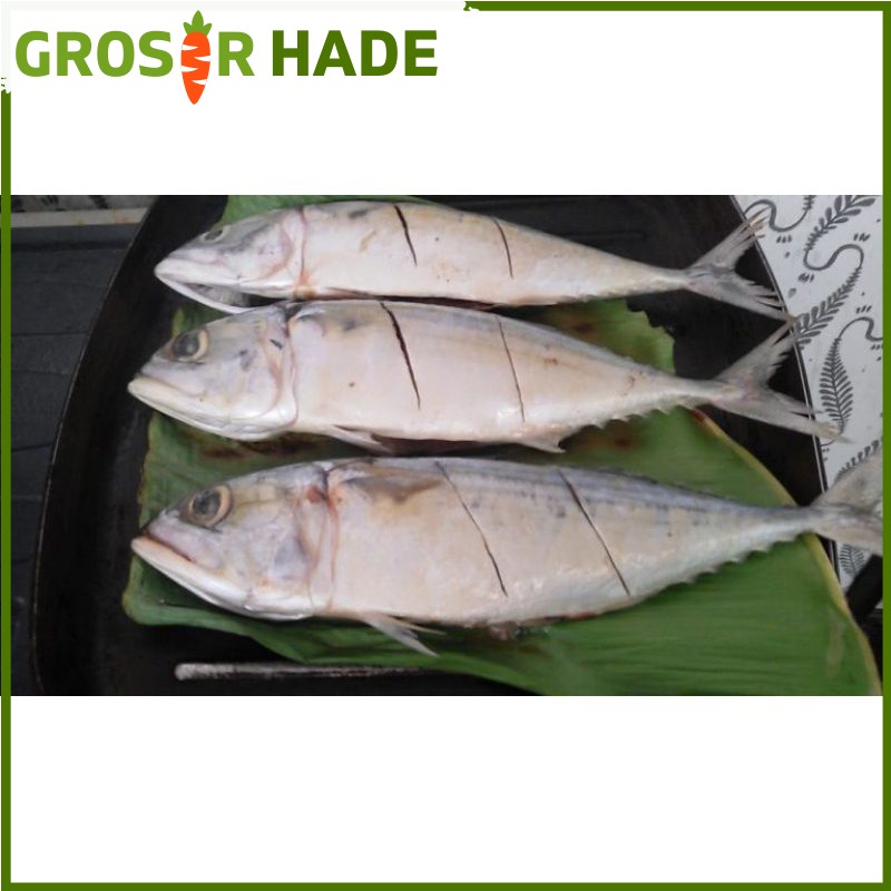 

ikan kembung Banjar 500 gram Pasar Bandung Murah
