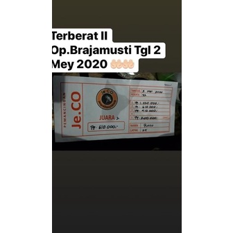 Kn31au22ĸ– Essen Oplosan Brajamusti Wangi asem melati Cocok untuk Galatama / Galapungan Ikan Mas