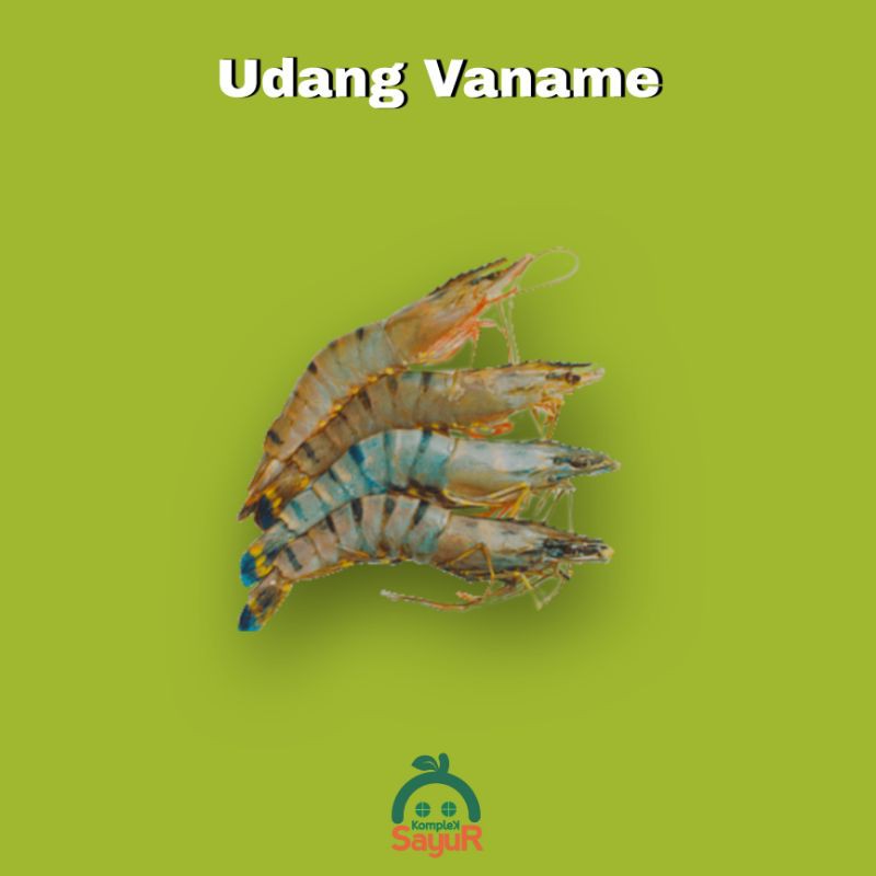 

Udang Vaname Premium Fresh 250 gr PROMO