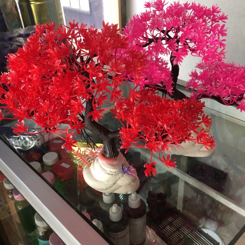 hiasan aquarium tanaman bonsai besar