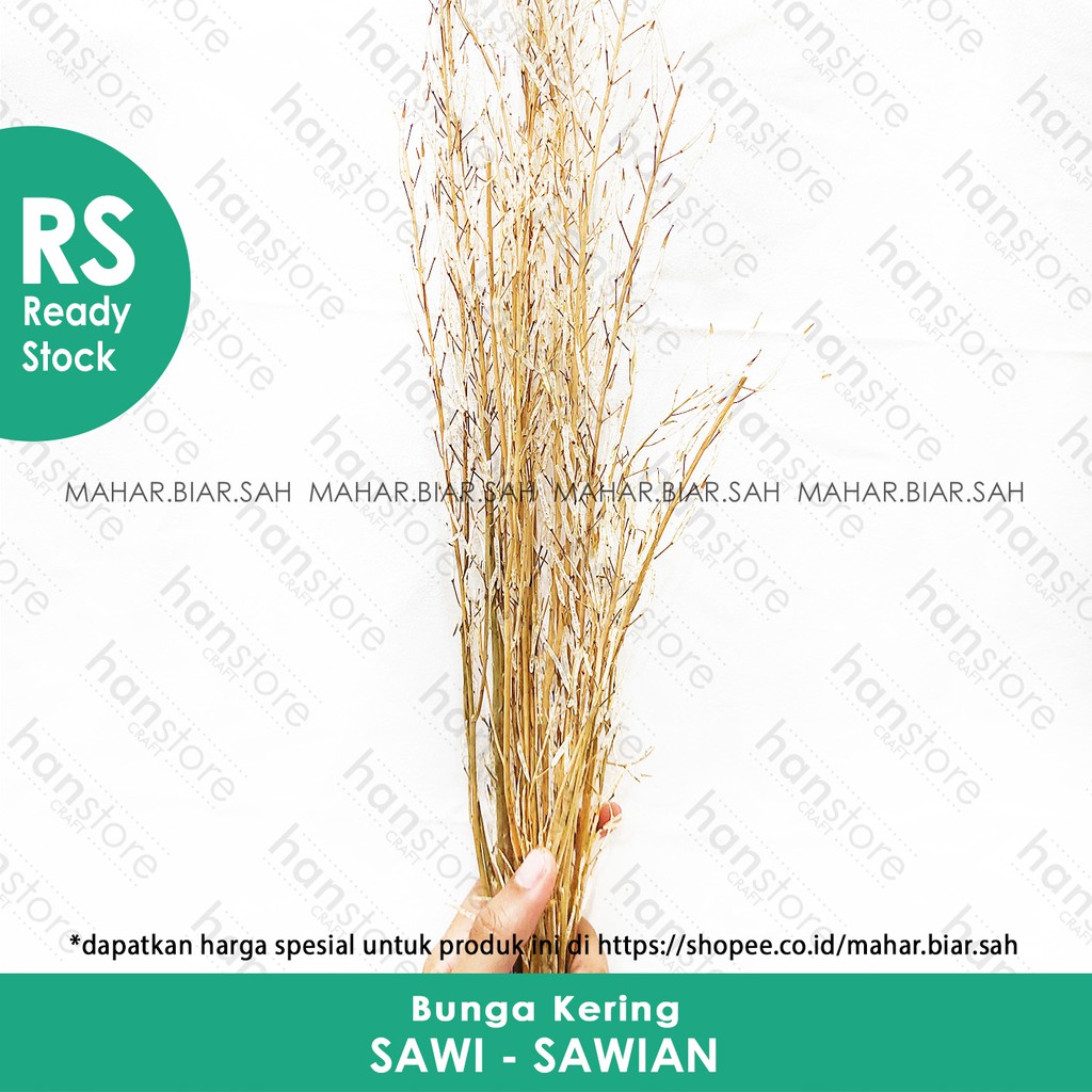 RS 4 Gr Bunga Kering Sawi - Sawian