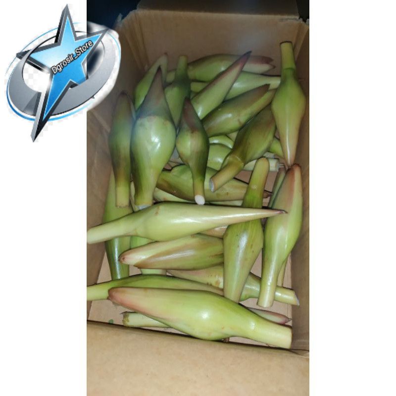 

BUNGA KECOMBRANG/ROMBEH SEGAR FRESH