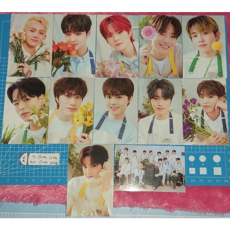 [READY] PC PHOTOCARD BINDER BLOOMING TREASURE