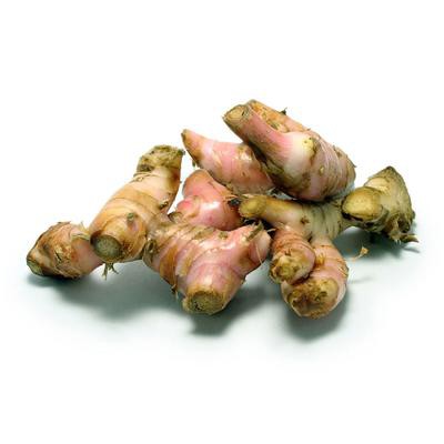 

Lengkuas Lengkoas Rempah Bumbu