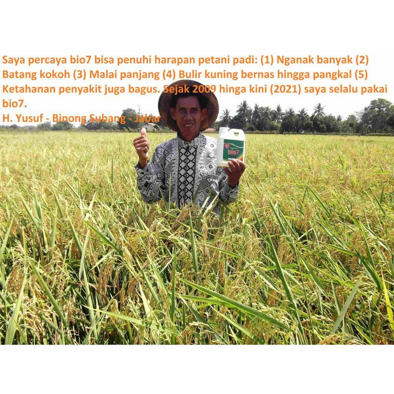 PUPUK ORGANIK CAIR HAYATI BIOAKTIVATOR BIO7 PADI PALAWIJA 1 LITER