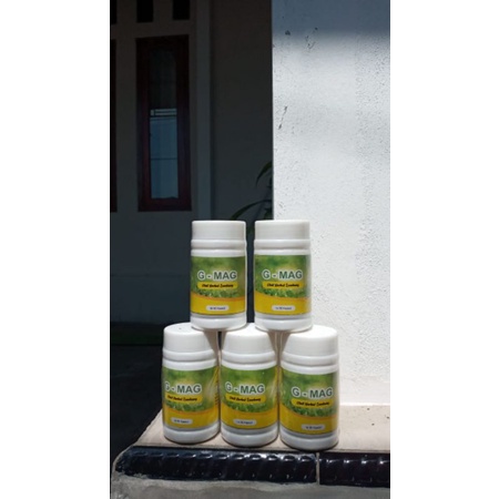 OBAT ASAM LAMBUNG KRONIS HERBAL AMPUH CINA GERD Fresmag kapsul G-MAG Original