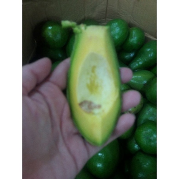 

alpukat mentega isi 4-5 buah