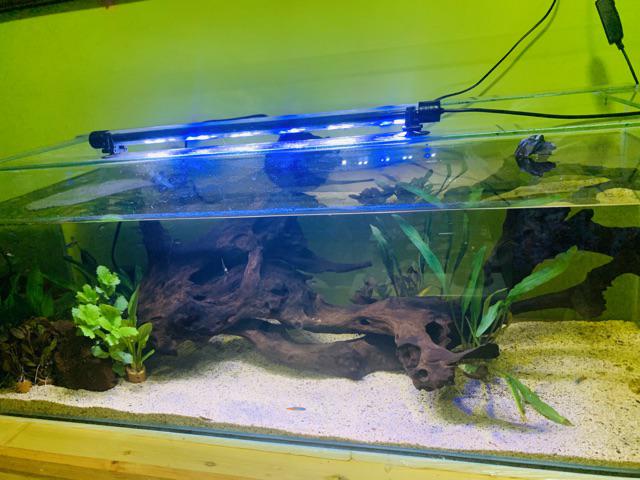 Promo  Toples Sambal + Toples Selai + Toples Plastik 200 Ml