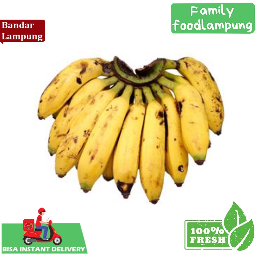 

Family Food Lampung Pisang Uli 1 Sisir