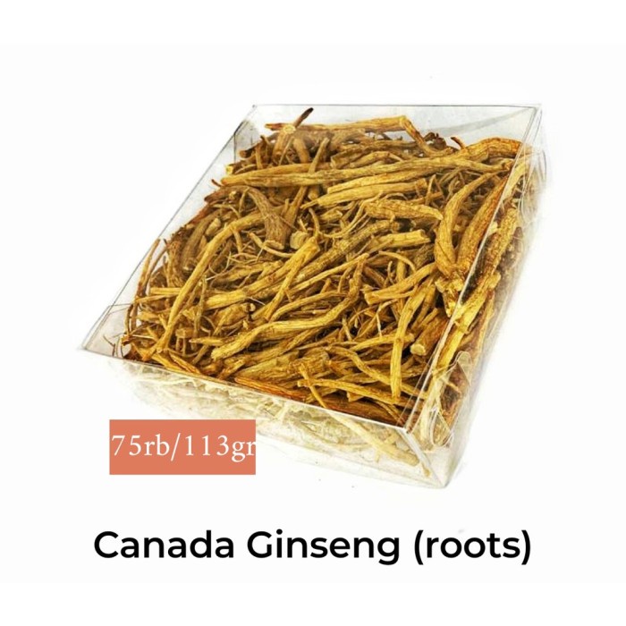 

Canada Ginseng (roots/akar) yongsem chiu / hua qi shen / panax ginseng