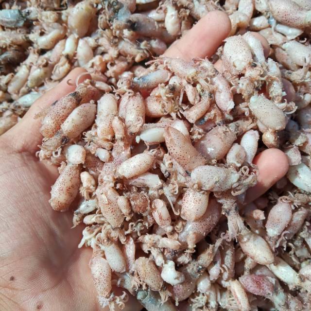 

Baby cumi asin premium size 0,5-2,5cm| 1kg