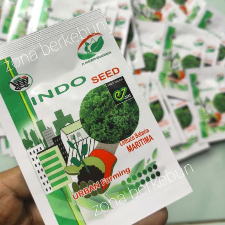 Harga TERMURAAH.. SELADA MARITIMA INDOSEED ENZA 1GR BATAVIA LETTUCE